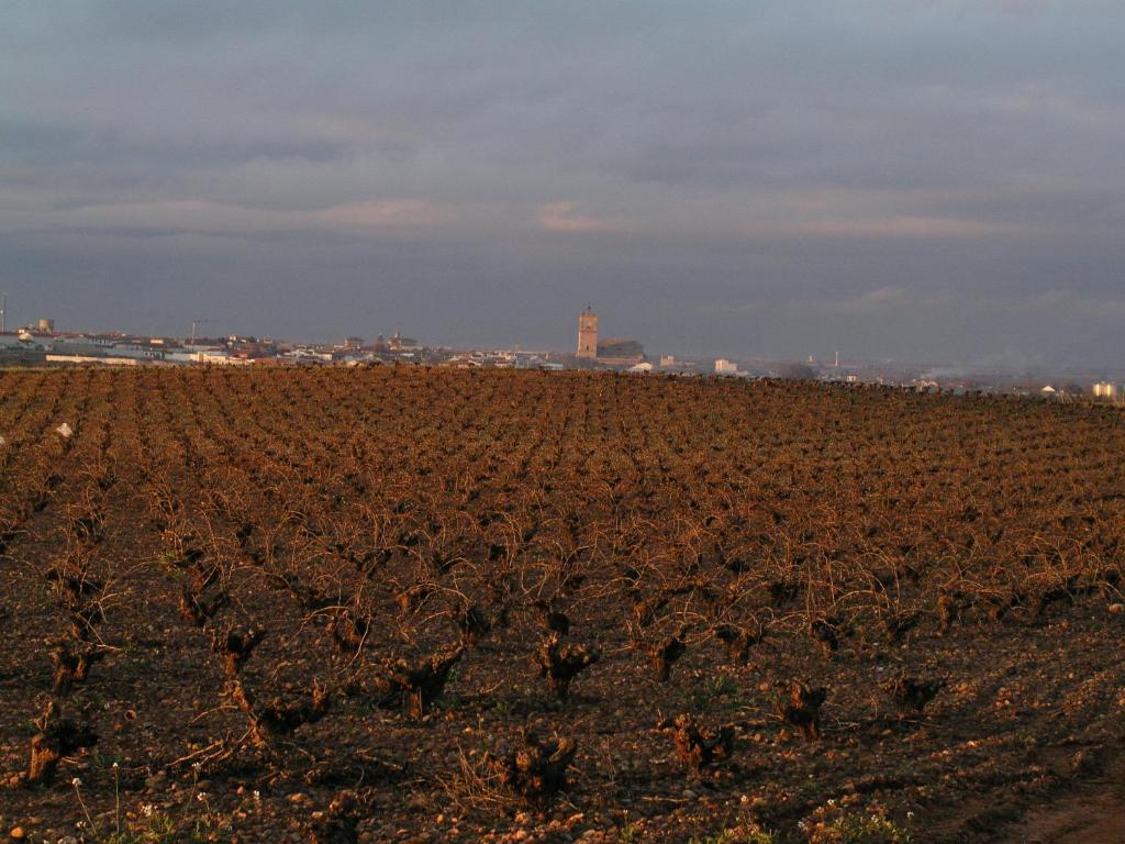 Hospederia Casa De La Torre Vendégház El Toboso Kültér fotó